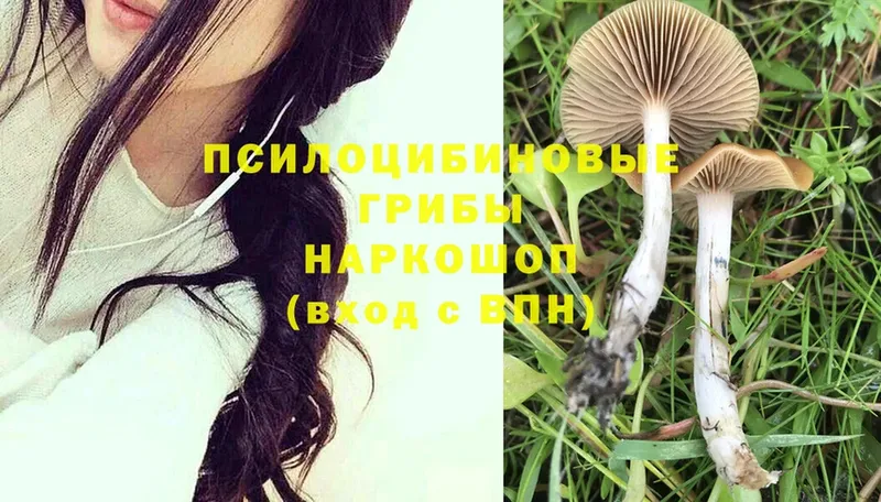 Галлюциногенные грибы Magic Shrooms  Ак-Довурак 